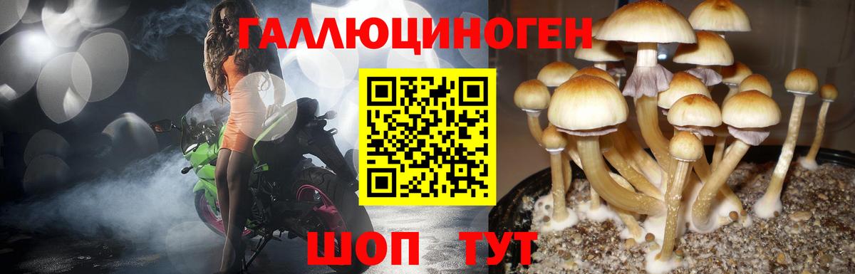 Вологда  Галлюциногенные грибы Magic Shrooms  Галлюциногенные грибы Psilocybe  Вход с VPN 